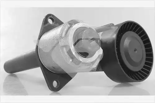 обтящна ролка, пистов ремък HUTCHINSON T0684