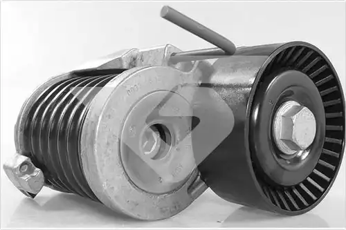 обтящна ролка, пистов ремък HUTCHINSON T0686