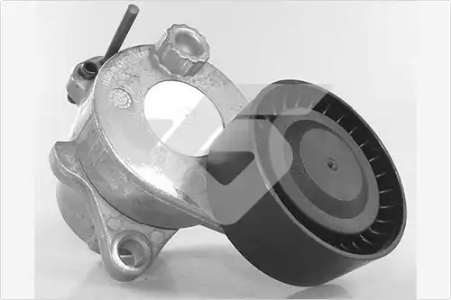 обтящна ролка, пистов ремък HUTCHINSON T0694