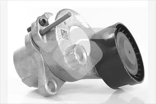обтящна ролка, пистов ремък HUTCHINSON T0695