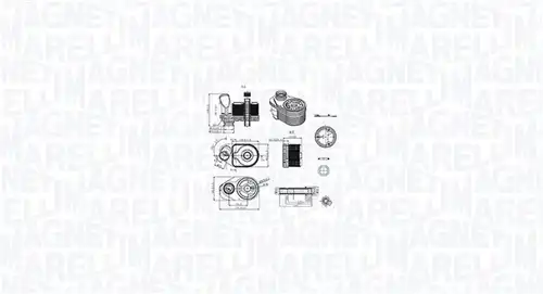 маслен радиатор, двигателно масло MAGNETI MARELLI 350300001100