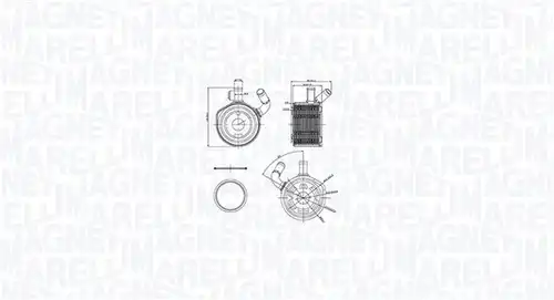 маслен радиатор, двигателно масло MAGNETI MARELLI 350300002900