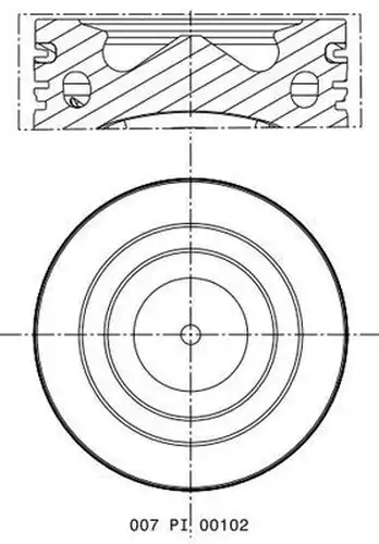 бутало MAHLE 007 PI 00102 000