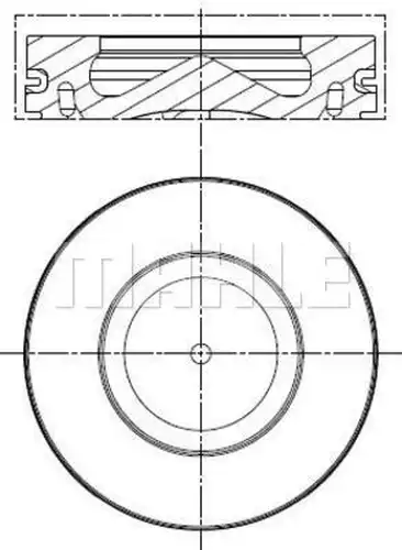 бутало MAHLE 081 PI 00100 000