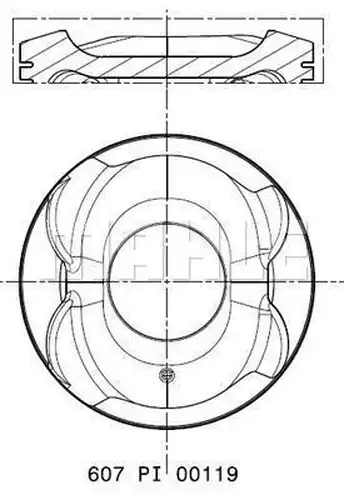 бутало MAHLE 607 PI 00119 000