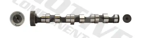 разпределителен вал MOTIVE T063
