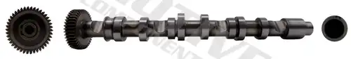 разпределителен вал MOTIVE T2625