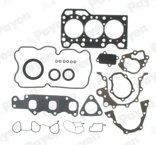 пълен комплект гарнитури, двигател PAYEN FD5690