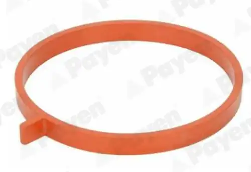 уплътнение, всмукателен колектор PAYEN JD6186