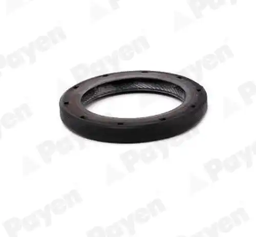 семеринг, диференциал PAYEN NA5507