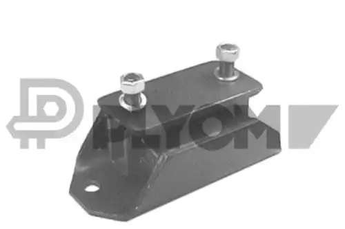 окачване, двигател PLYOM P766651