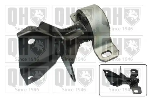  QUINTON HAZELL EM4282