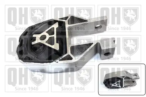  QUINTON HAZELL EM4685