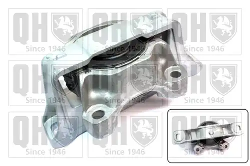  QUINTON HAZELL EM4688