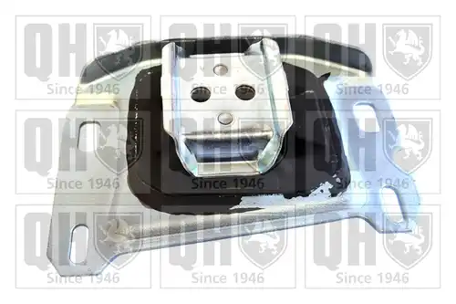  QUINTON HAZELL EM4930