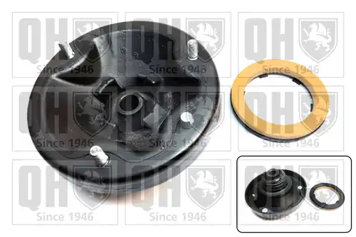  QUINTON HAZELL EMA4987