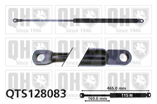 газов амортисьор, багажно/товарно пространство QUINTON HAZELL QTS128083