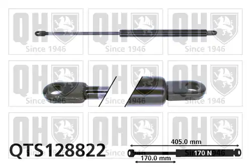 газов амортисьор, багажно/товарно пространство QUINTON HAZELL QTS128822