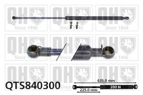 газов амортисьор, багажно/товарно пространство QUINTON HAZELL QTS840300