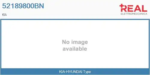 Картридж, турбокомпресор REAL 52189800BN