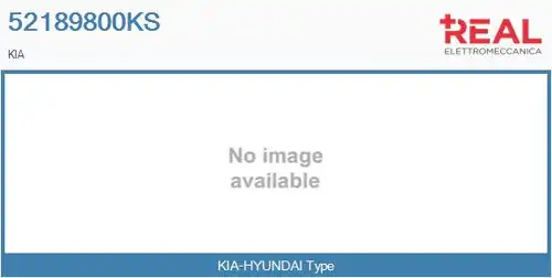 Картридж, турбокомпресор REAL 52189800KS