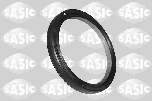 семеринг, колянов вал SASIC 1956002