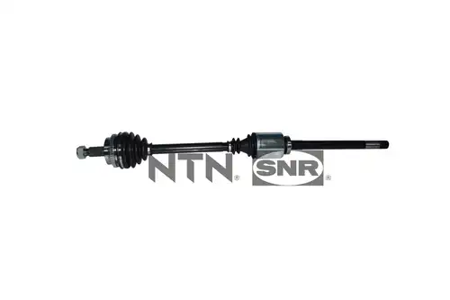 полуоска SNR DK55.262