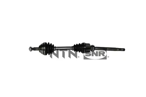 полуоска SNR DK66.008