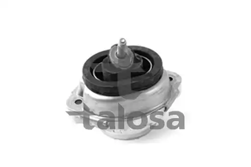 окачване, двигател TALOSA 61-06637