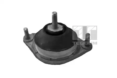 окачване, двигател TEDGUM 00050296