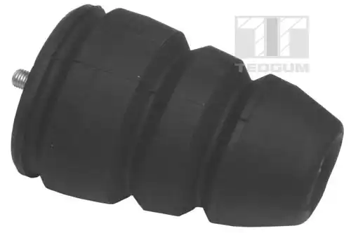 ударен тампон, окачване (ресьори) TEDGUM 00214385
