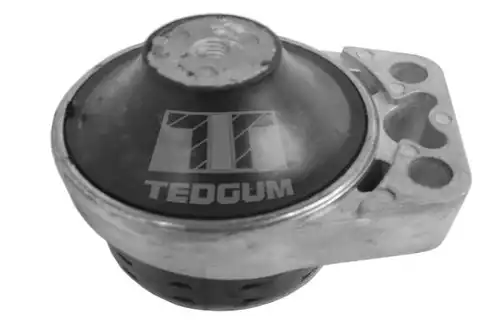 окачване, двигател TEDGUM 00226952