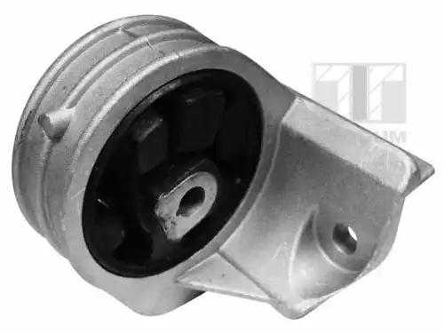 окачване, двигател TEDGUM 00585856