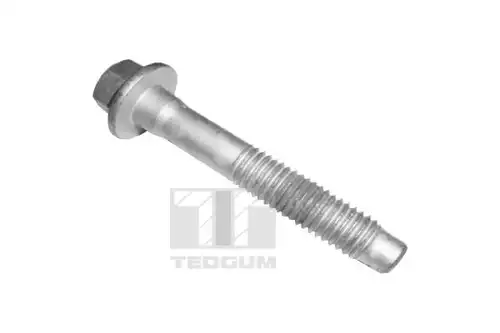 винт TEDGUM TED46565