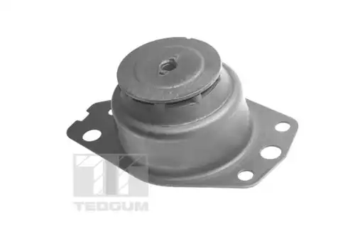 окачване, двигател TEDGUM TED96035