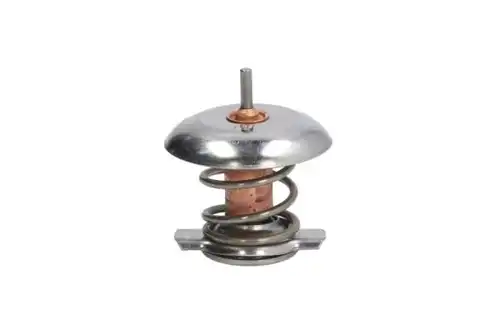 термостат, охладителна течност THERMOTEC D2V001TT