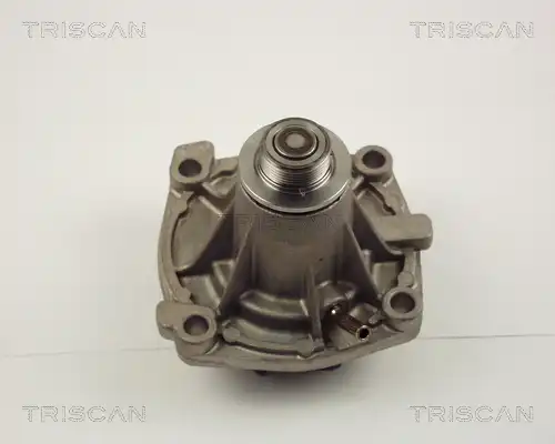 водна помпа TRISCAN 8600 10011