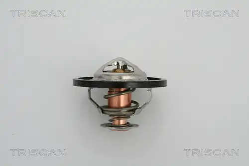 термостат, охладителна течност TRISCAN 8620 13591