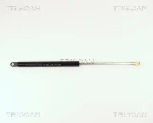 газов амортисьор, багажно/товарно пространство TRISCAN 8710 15214