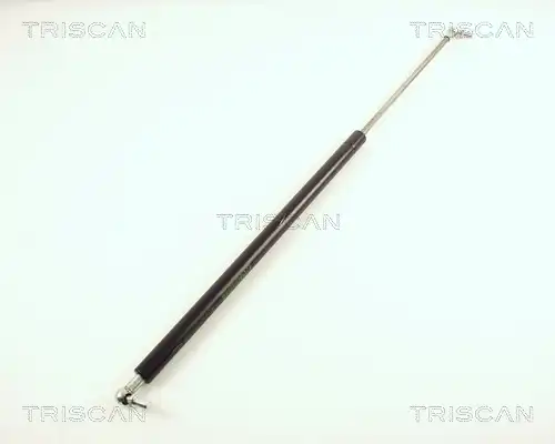 газов амортисьор, багажно/товарно пространство TRISCAN 8710 40202