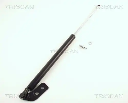 газов амортисьор, багажно/товарно пространство TRISCAN 8710 50211