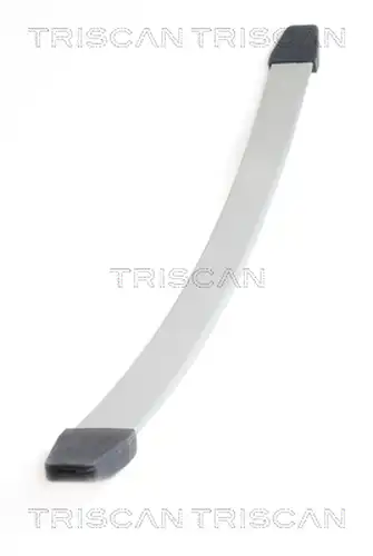 комплект пружини TRISCAN 8765 10003