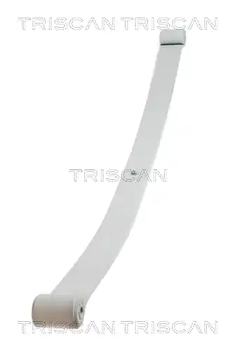 комплект пружини TRISCAN 8765 10004