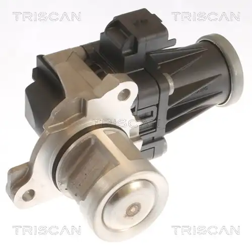 AGR-Клапан TRISCAN 8813 10053