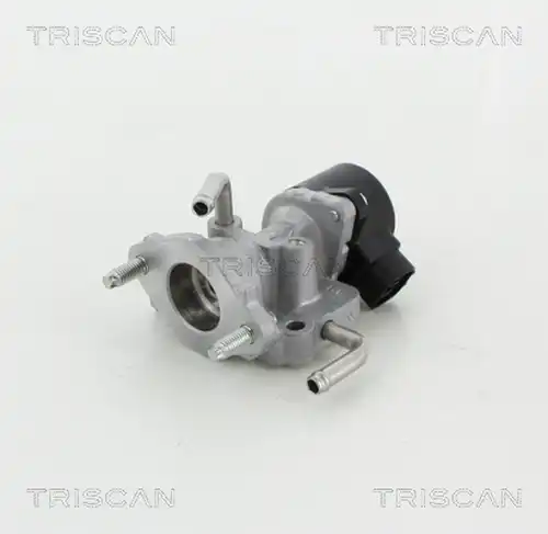 AGR-Клапан TRISCAN 8813 13059