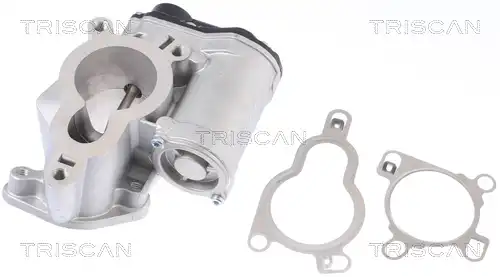 AGR-Клапан TRISCAN 8813 14025