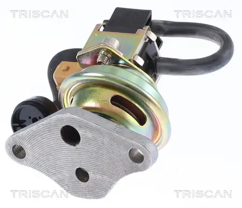 AGR-Клапан TRISCAN 8813 24025