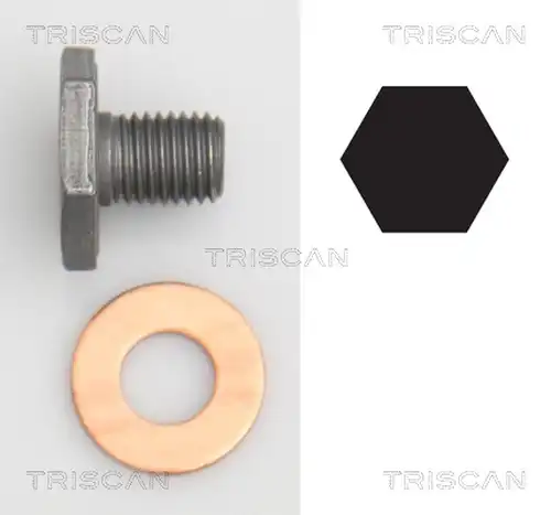 болтова пробка, маслен картер TRISCAN 9500 1010