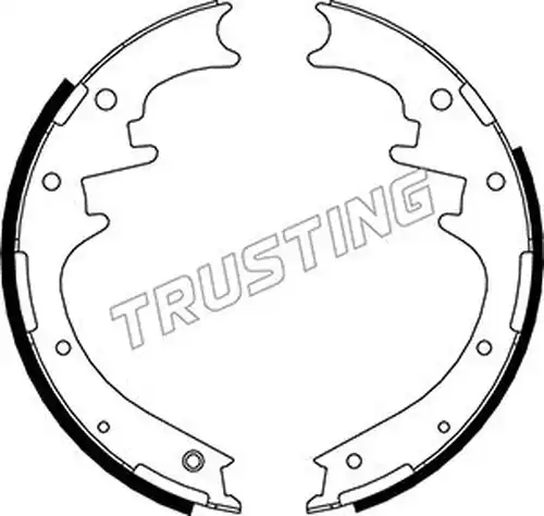 комплект спирачна челюст TRUSTING 040.154