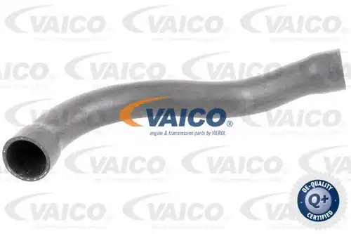 маркуч на радиатора VAICO V20-1750